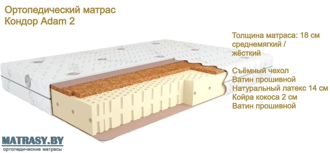 Беспружинный матрас Кондор Adam 2 купить в Минске недорого