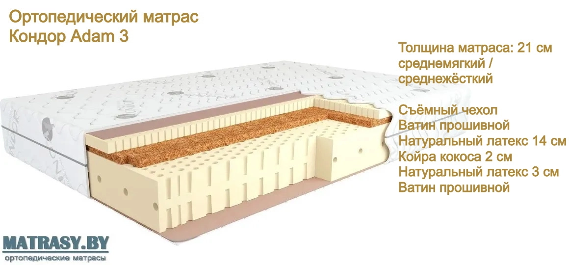 Беспружинный матрас Кондор Adam 3 купить в Минске недорого