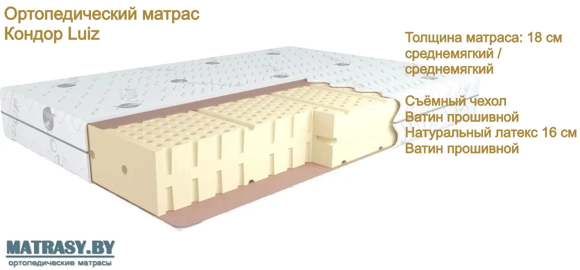 Беспружинный матрас Кондор Luiz купить в Минске недорого