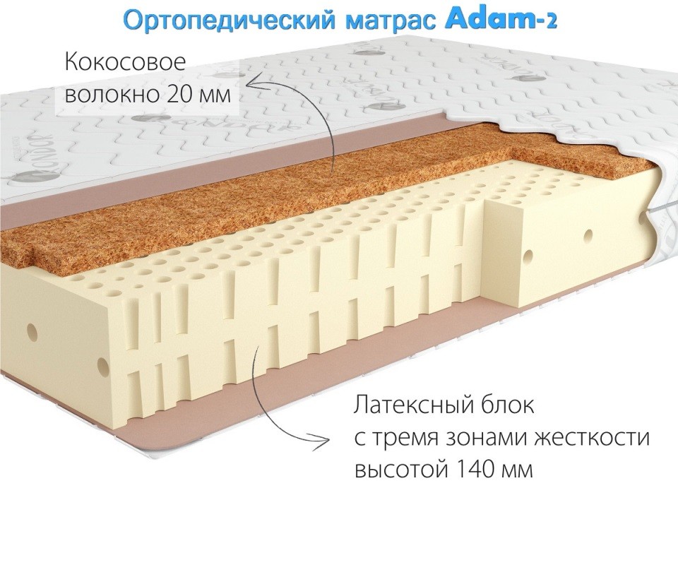    Adam-2  . 