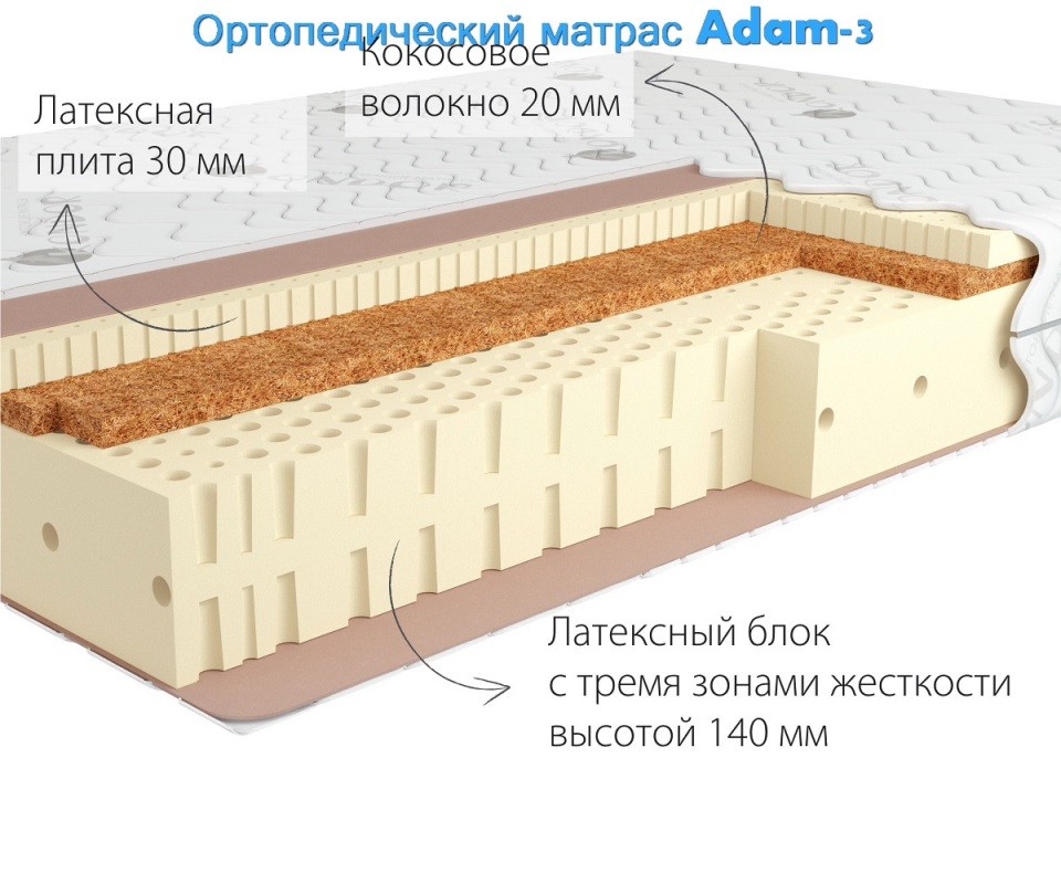     Adam-3  . 