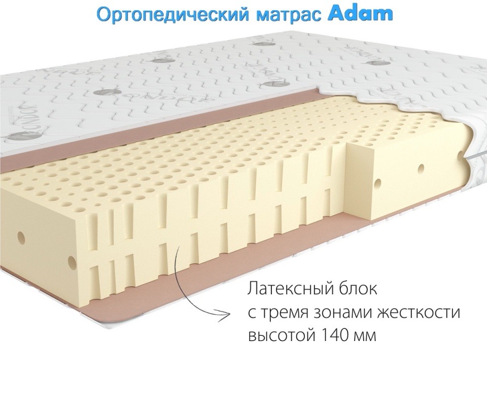   Kondor Adam  . 