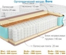   Kondor Bora
