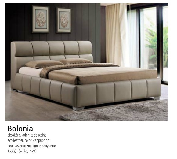  BOLONIA   .    