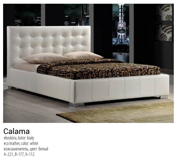  CALAMA   .    