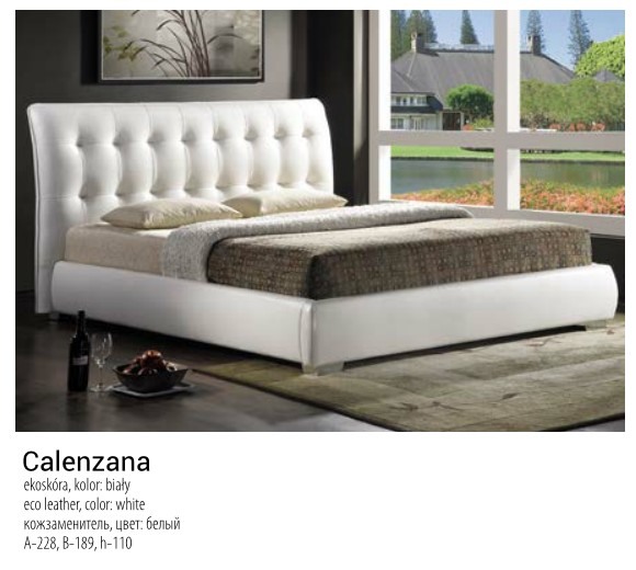  CALENZANA ( )  .    