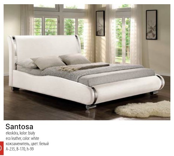  SANTOSA   .    